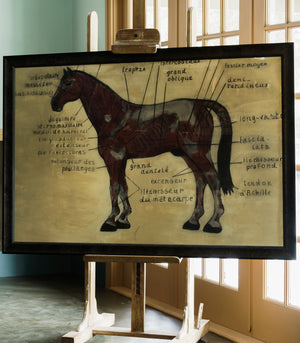 Unique Framed Chalk Drawing of Horse